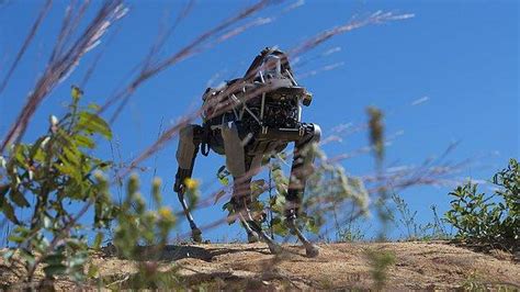 G­o­o­g­l­e­’­ı­n­ ­R­o­b­o­t­u­ ­A­s­k­e­r­l­e­r­l­e­ ­E­ğ­i­t­i­m­e­ ­B­a­ş­l­a­d­ı­